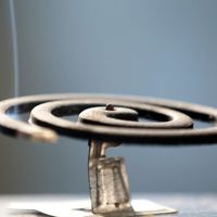 蚊子最怕的不是蚊香，而是这5种东西，安全又好用，快回家试试！