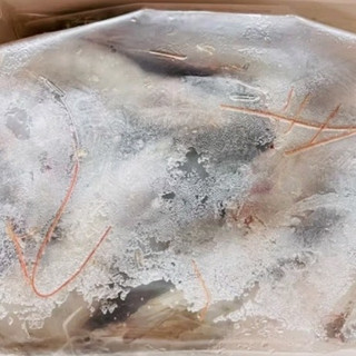 禧美海产  国产大虾 无冰净重400g/盒 22-27只 白虾 对虾 烧烤