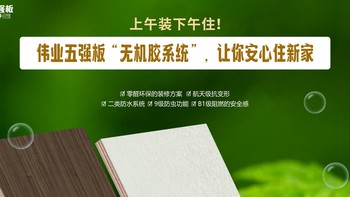 上午装下午住！伟业五强板无机生态胶让你安心住新家！