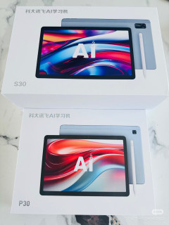 科大讯飞p30和s30选那个？