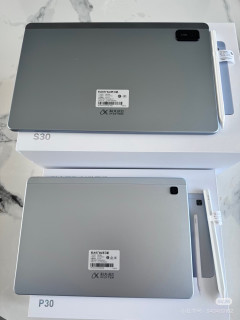 科大讯飞p30和s30选那个？