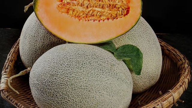 甜蜜滋味，尽在京觅山东西州蜜哈密瓜