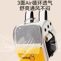 神经猫猫包：猫咪舒适出行的理想之选