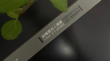 当正义成为罪行：哈珀·李笔下一个南方小镇的道德溃烂！