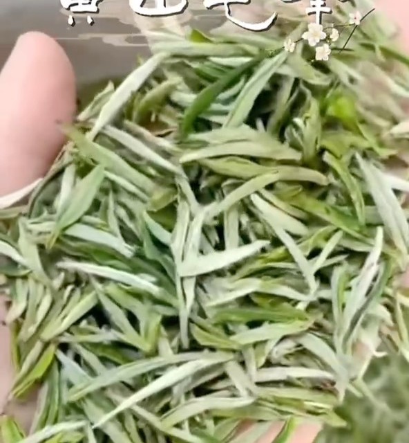 🌄惊鸿！黄山的云雾揉进茶汤，在舌尖跳起山岚的舞✨​