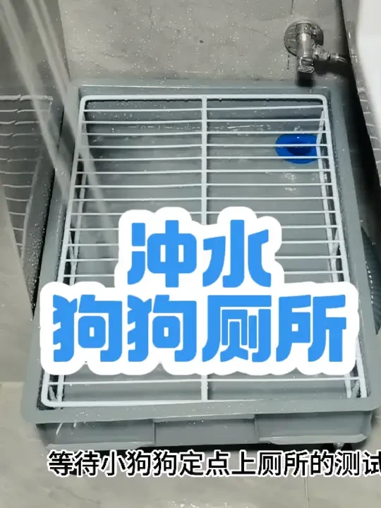 #好物推荐🔥 #狗狗 #萌宠出道计划 #萌宠日常记录 #定点大小便 不到一百元改造可冲水狗狗厕所记录…