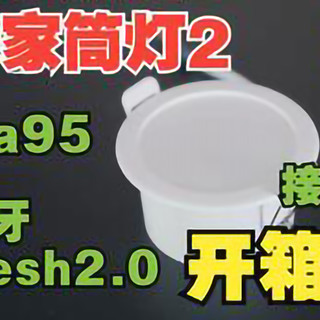 不想买太贵又不想用太差的智能筒灯怎么办？那就看看这款吧