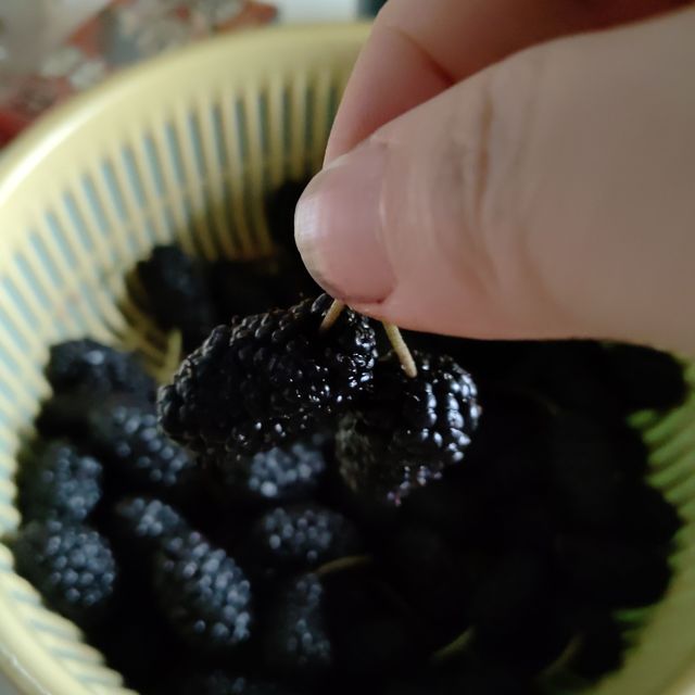 吃桑葚，延缓衰老的秘密！