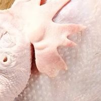 网购生鲜踩坑：老母鸡无生产日期，买生鲜检查日期是关键！