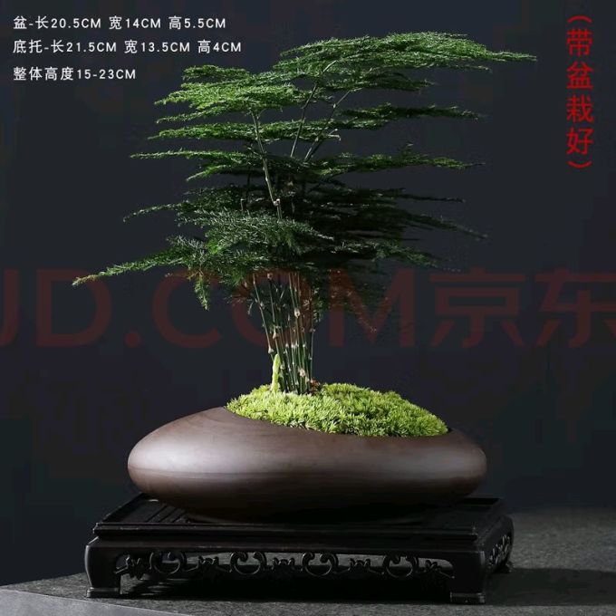 怀音仿真花卉