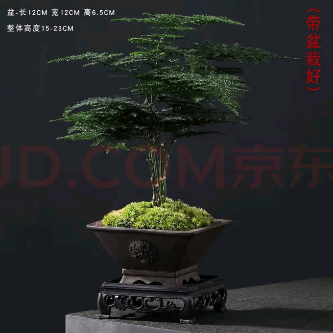 怀音仿真花卉