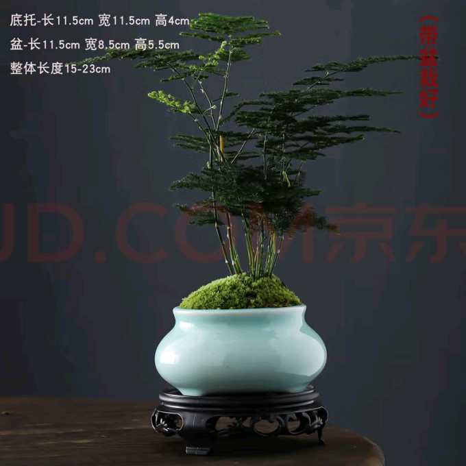 怀音仿真花卉