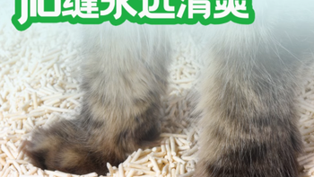 佰瑞迪奶香绿茶纯豆腐猫砂——让猫咪的“厕所”焕然一新
