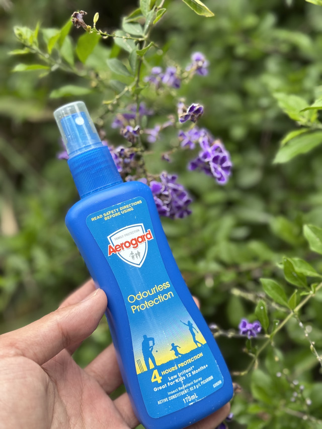 这段时间户外出行必备驱蚊喷雾