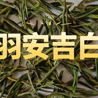 芳羽明前特级安吉白茶测评，滋味不错，耐泡度欠佳