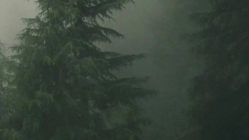 动漫世界，你敢闯吗？