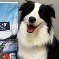 伯纳天纯狗粮生鲜Super冻干全阶段通用鲜肉犬粮评测