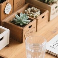 家居美学：展示你的桌面布置技巧，分享收纳小妙招DIY桌搭改造。