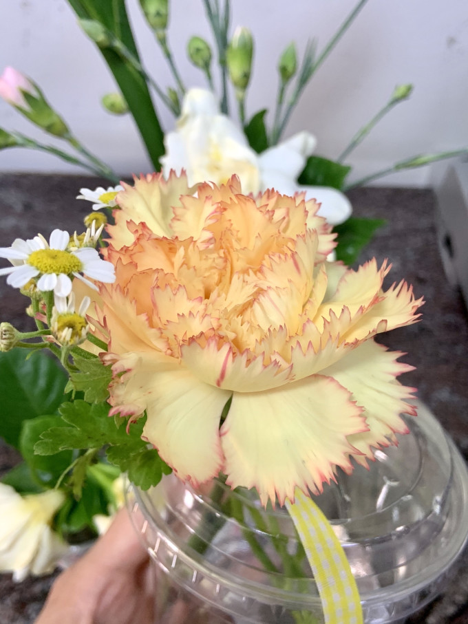 韵米奇鲜花绿植