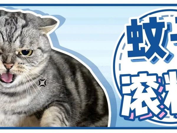 年年卖断货的驱蚊神器，请囤！