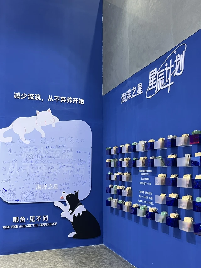 冲它博会海洋之星！