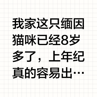 老猫想长寿！老年猫粮少不了！