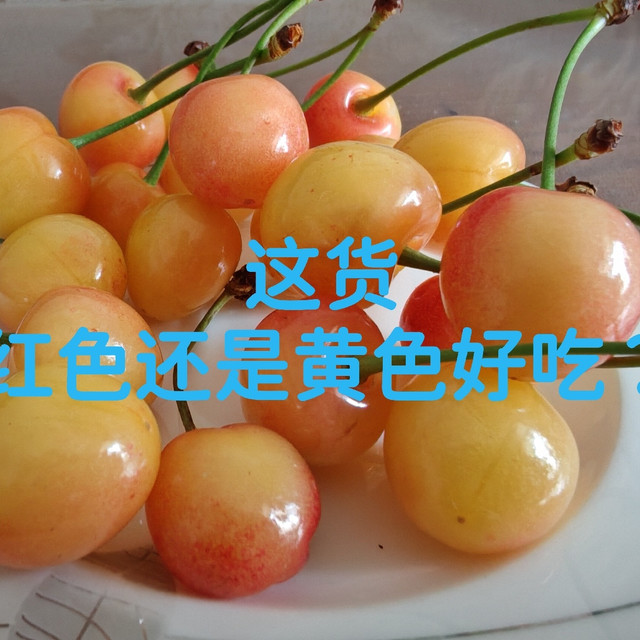 我就知道我是个大笨蛋！这玩意黄色好吃
