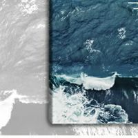 真实世界的经济学逻辑