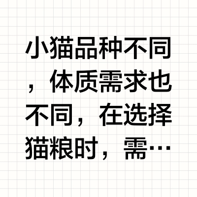 新手养猫必备:风大的布偶猫粮看这篇就够了