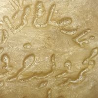 我减少脱发的工具：用3500年历史的叙利亚阿勒颇古皂洗头和洗脸