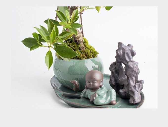 鲜花绿植