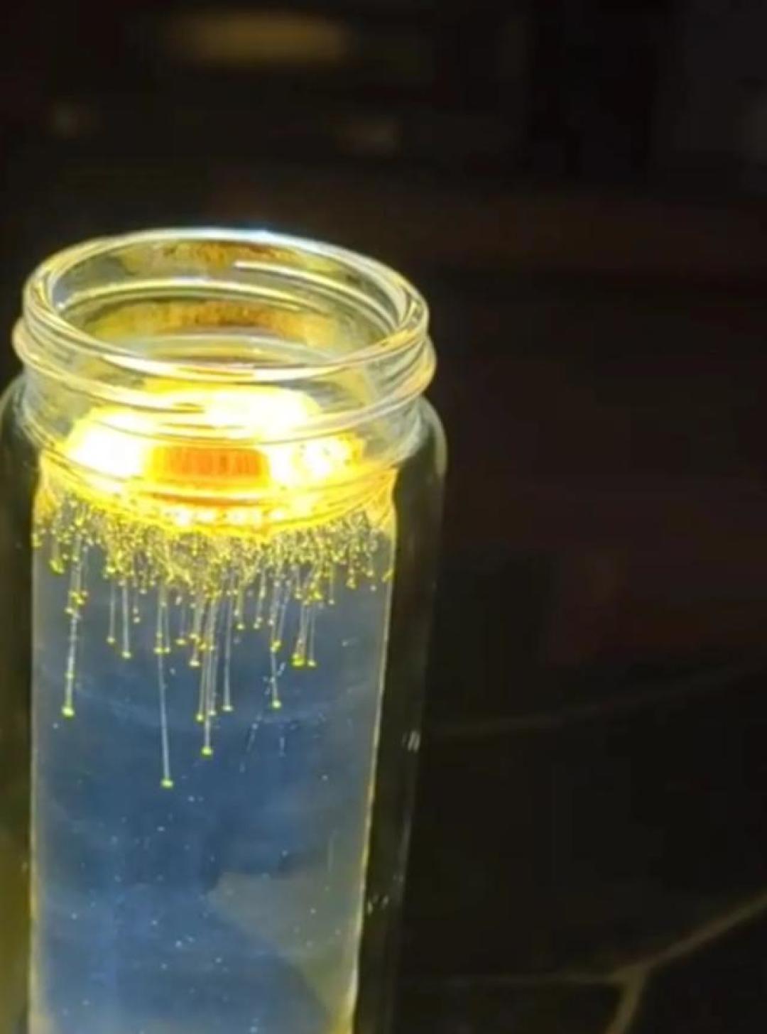 维生素B2荧光魔法:父亲用5元打造餐桌流星雨,解锁科学育儿新浪漫