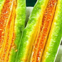 最新优惠