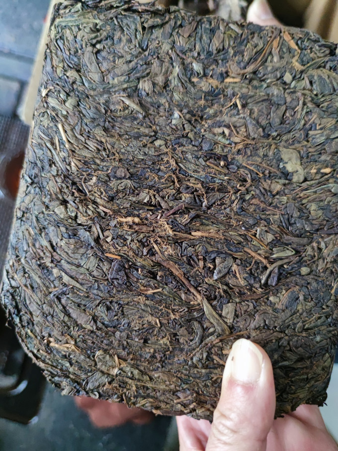 七春黑茶
