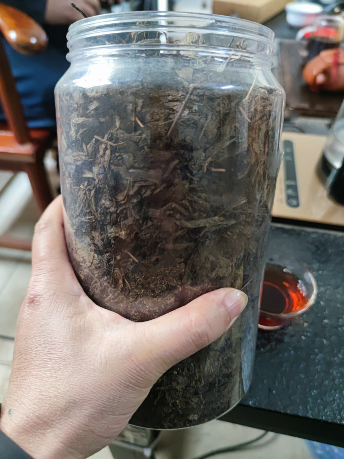 七春黑茶