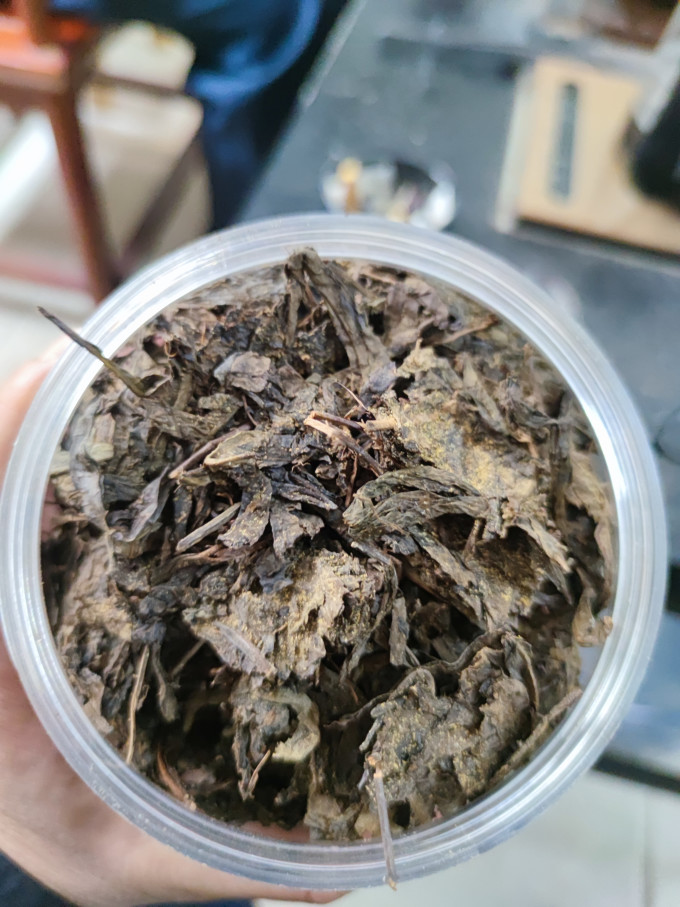 七春黑茶