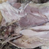 厨房小白的逆袭！零失败电饭煲焗鸡全攻略，比大排档更香更健康
