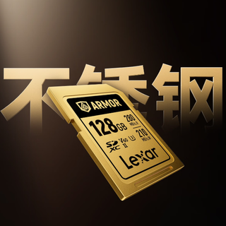 雷克沙推出全球首款不锈钢 SD 卡，799 元起