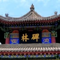 西安碑林博物馆游览指南：穿越千年的翰墨之旅