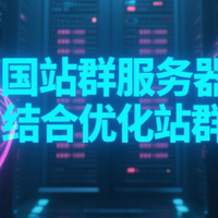 德国站群服务器与CDN结合优化站群速度?