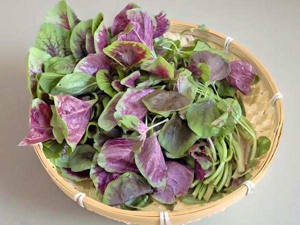 入夏后，韭菜菠菜靠边站，多吃这4种“黄金菜”，营养好吃又不贵