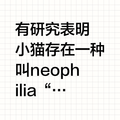猫行为学｜小猫不喜欢玩具怎么办（内含方法）
