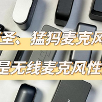 大疆、西圣、猛犸麦克风怎么样？深度测评告诉你谁才是性能天花板