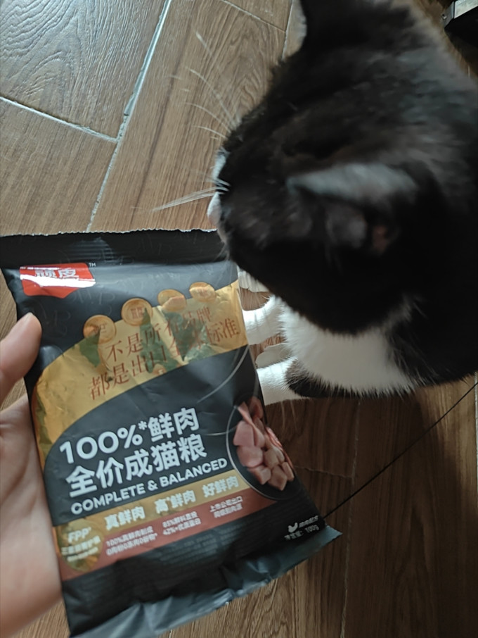顽皮猫咪干粮