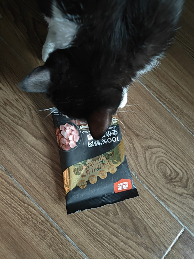 顽皮猫咪干粮