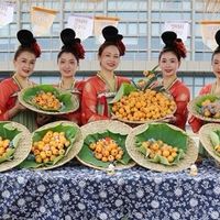 枇杷推荐：从“黄金果”到“果中之皇”，这些产地品种值得品尝  