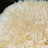 说好的不“倒毛”，最后还是不忍直视！