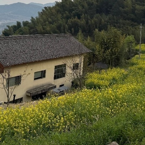 桐庐大乐之野：山居乌托邦的治愈式度假体验  
