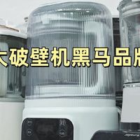 破壁机怎么选购？五大黑马品牌实测，入股不亏