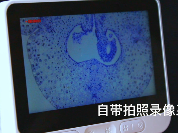 六一儿童节，当当狸带孩子开启科学启蒙之旅